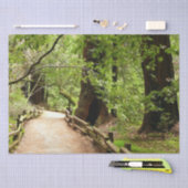 Papier Mousseline Muir Woods Path II Nature Photography (Artisanat)