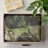 Papier Mousseline Muir Woods Path II Nature Photography (Cadeau)