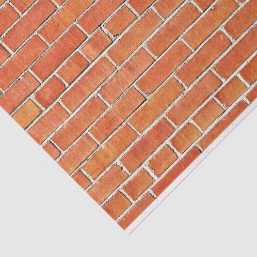 Papier Mousseline Mur en brique haute exposition (Détail)