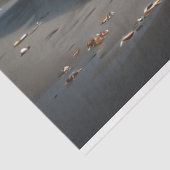 Papier Mousseline Muscle Car - Chevelle - Plage avant de découpage (Détail)