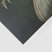 Papier Mousseline Muse Évergreen (Détail)
