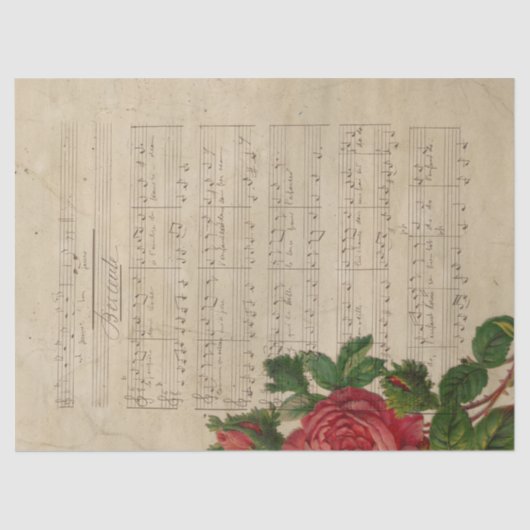 Papier Mousseline Musique et Rose 12 (Recto)