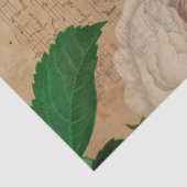 Papier Mousseline Musique et Rose Series Design 4 (Détail)