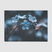 Papier Mousseline Myosotis Deep Blue (Recto)