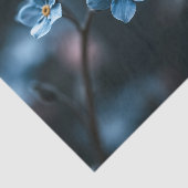 Papier Mousseline Myosotis Deep Blue (Détail)