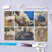 Papier Mousseline Nap Heeping Animaux Koala Decoupage Photo (Artisanat)