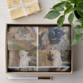 Papier Mousseline Nap Heeping Animaux Koala Decoupage Photo (Cadeau)