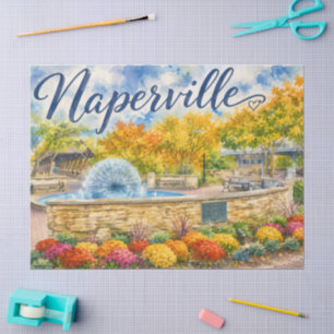 Papier Mousseline Naperville Illinois Fontaine de Pissenlit Riverwal