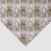 Papier Mousseline Narcisse Sur Marbre (Détail)