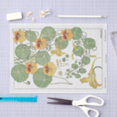 Papier Mousseline Nasturtium, Eugene Grassat's Botany Series (Artisanat)