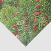 Papier Mousseline nature, branche, plante, naturel, saison, rouge, b (Détail)