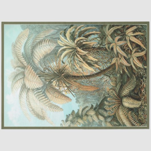 Papier Mousseline Nature Fern Ernst Haeckel Découpage Tissu (Recto)