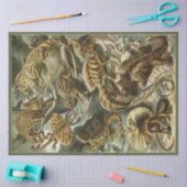 Papier Mousseline Nature Lizard Ernst Haeckel Découpage (Artisanat)