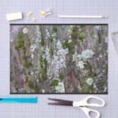 Papier Mousseline Nature Moss Lichen Camouflage Photo (Artisanat)