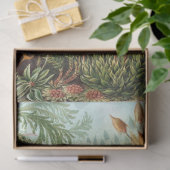 Papier Mousseline Nature Muscinae Ernst Haeckel Découpage (Cadeau)