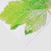 Papier Mousseline Nature verte de feuille (Détail)
