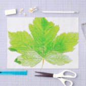 Papier Mousseline Nature verte de feuille (Artisanat)