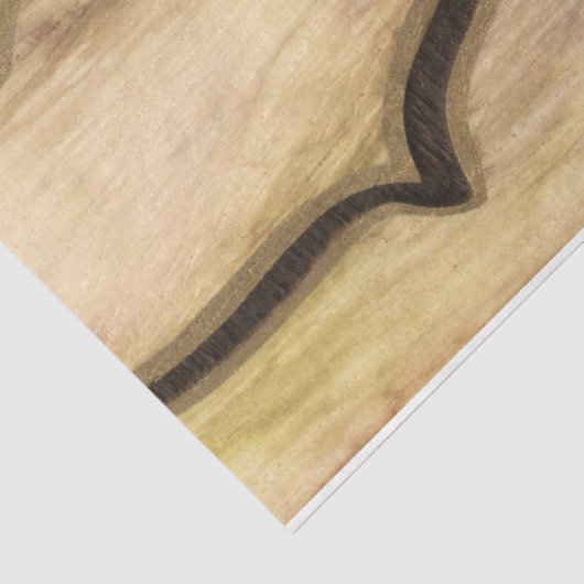 Papier Mousseline Nautilus (Détail)