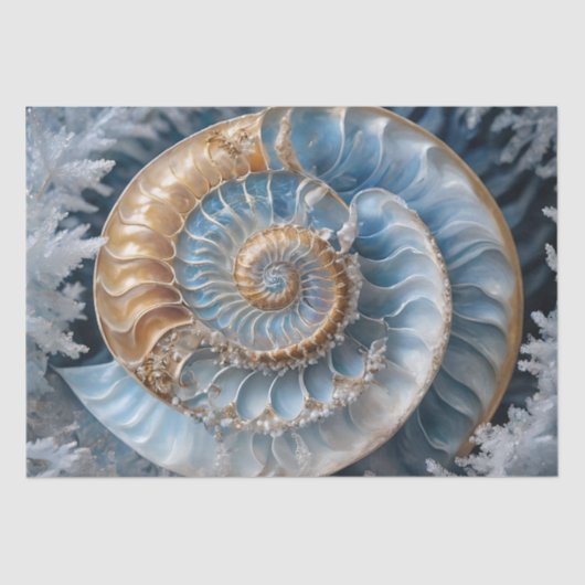 Papier Mousseline Nautilus Shell à l'intérieur du papier de découpag (Recto)