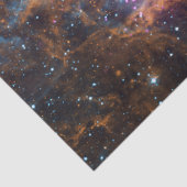 Papier Mousseline Nébuleuse du homard (Détail)