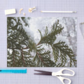 Papier Mousseline Neige sur Branches À feuillage persistant Hiver Na (Artisanat)