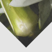 Papier Mousseline Nénuphar blanc et bud Floral (Détail)