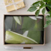 Papier Mousseline Nénuphar blanc et bud Floral (Cadeau)