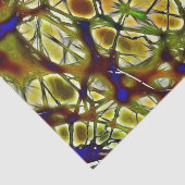 Papier Mousseline Neurones (Détail)