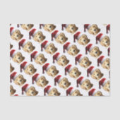 PAPIER MOUSSELINE NICKEL-WITH-A-HAT-3 (Recto)