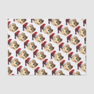 PAPIER MOUSSELINE NICKEL-WITH-A-HAT-3