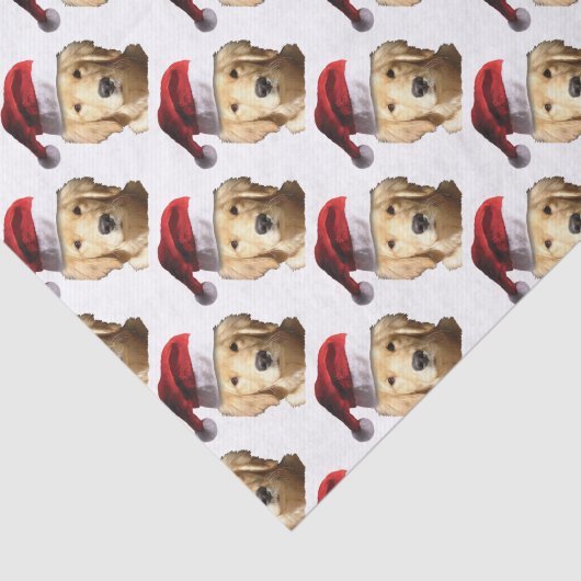 PAPIER MOUSSELINE NICKEL-WITH-A-HAT-3 (Détail)