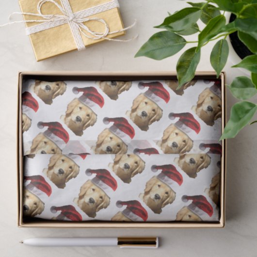 PAPIER MOUSSELINE NICKEL-WITH-A-HAT-3 (Cadeau)