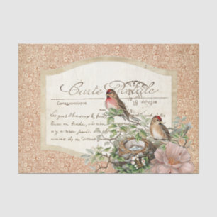 Papier Mousseline Nid d'oiseau Rouge Floral Carte Postale Français S