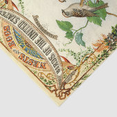 Papier Mousseline Nids et Oeufs Oiseaux des États-Unis (Détail)