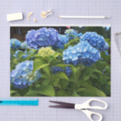 Papier Mousseline Nikko Hydrangea Bleue Fleur Artisanat de Découpage (Artisanat)