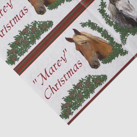 Papier Mousseline Noël à Mare-y (Détail)