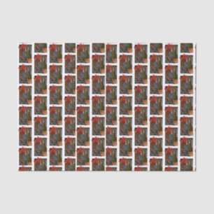 Papier Mousseline Noël Black Lab