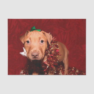 Papier Mousseline Noël de chiot de Pitbull