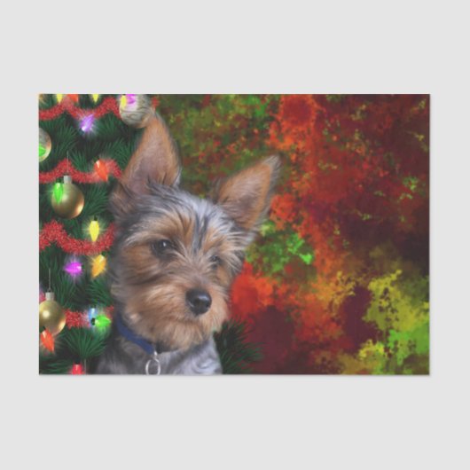 Papier Mousseline Noël de Yorkie (Recto)