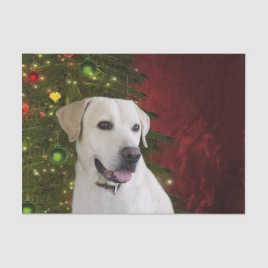 Papier Mousseline Noël jaune de labrador retriever (Recto)