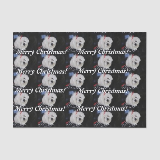 Papier Mousseline Noël maltais (Recto)