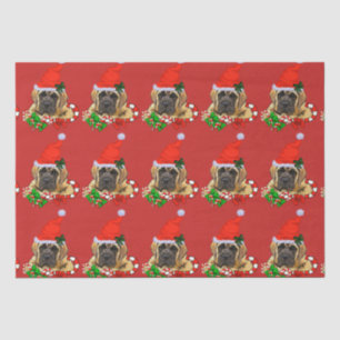 Papier Mousseline Noël Mastiff anglais mignon