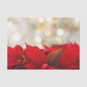 Papier Mousseline Noël Poinsettia