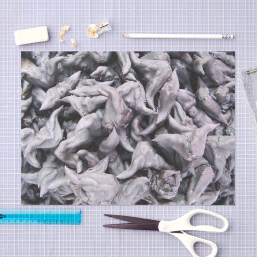 Papier Mousseline Noix de buffle - Water Caltrop (Artisanat)