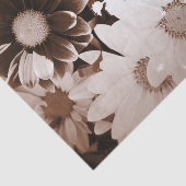 Papier Mousseline nostalgie pays de l'ouest fleur sauvage marguerite (Détail)