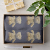 Papier Mousseline Nounours (Cadeau)