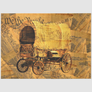 Papier Mousseline Nous La Constitution Populaire Couverte Wagon