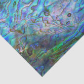 PAPIER MOUSSELINE NOUVELLE-ZÉLANDE KIWI PAUA (Détail)