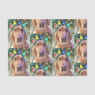 Papier Mousseline Nova the Golden Retriever Christmas Tissue Paper