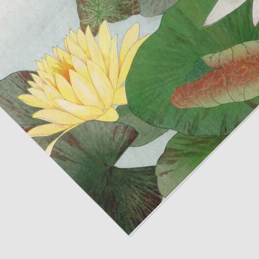 Papier Mousseline Nymphaea lotus, Découpage (Détail)